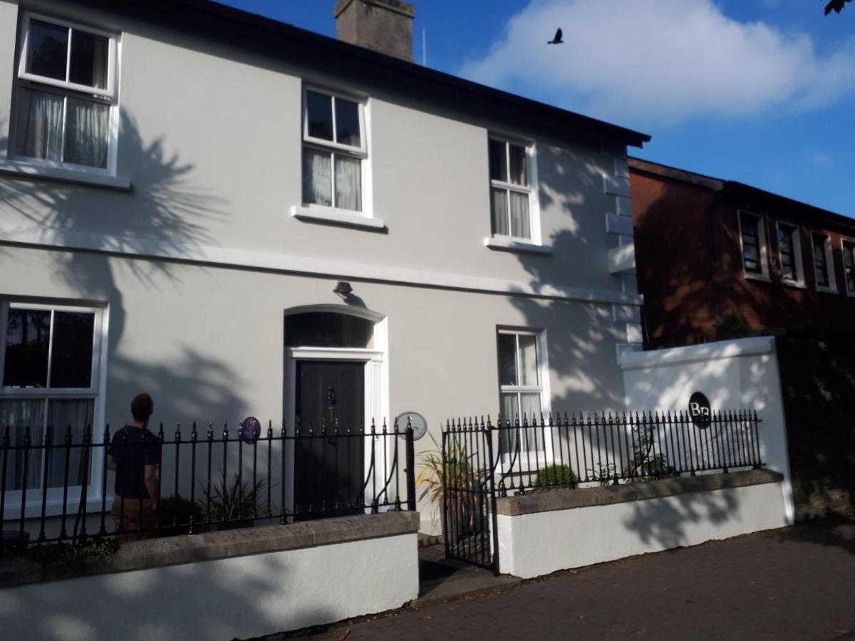 Halpins Town House Bed and Breakfast Wicklow Exterior foto